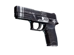 P250 | Re.built (Factory New)